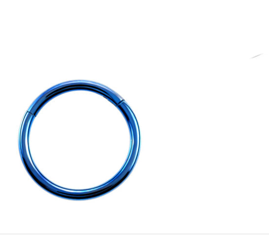 Stainless Steel Pierced Nose Ring Interface Ring Closed Ring Seamless Connection Nose Ring Earrings