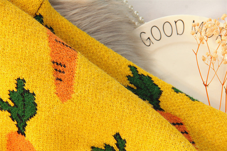 Sweater Female Autumn Winter Outfit Wear Korean Version