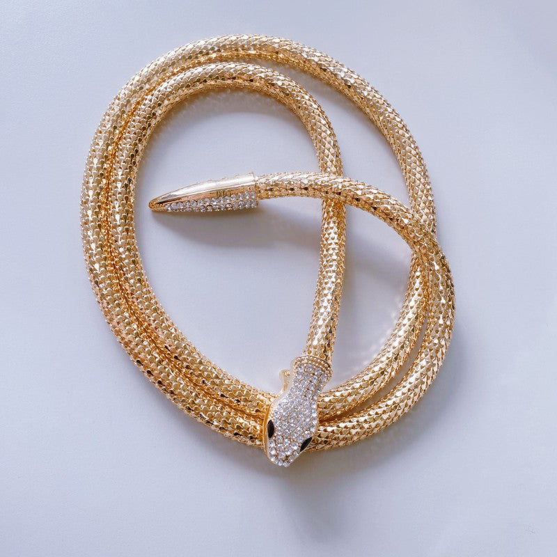 Exaggerated Snake Necklace Micro-inlaid Long Necklace